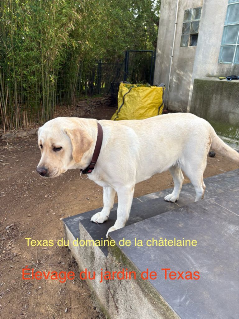 Texas des Terres de la Chatelaine