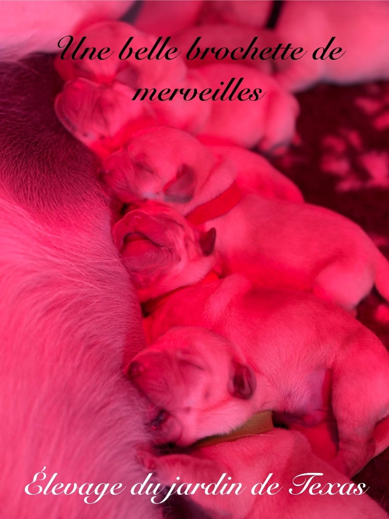 Ils sont nées le 07/12/2025